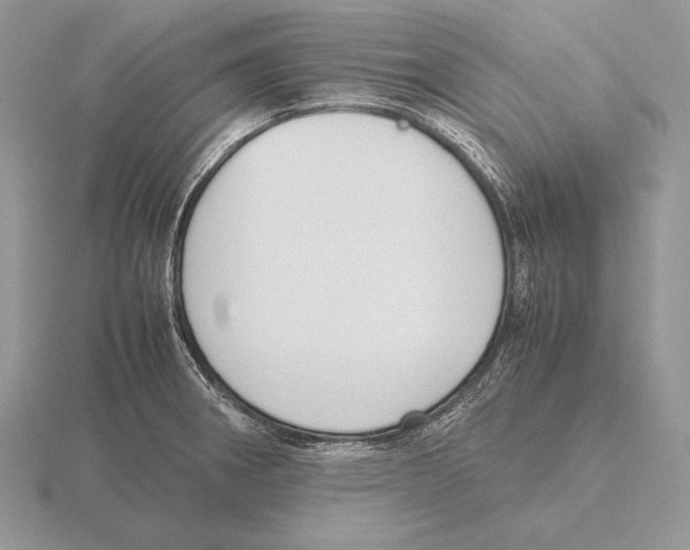 X0000115781282200912111119