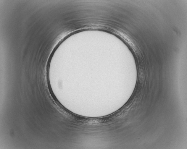 X0000115781283200912111119