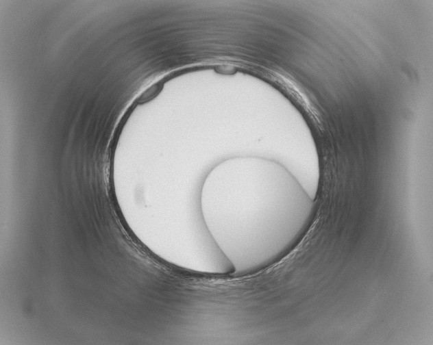 X0000115781284200912111119