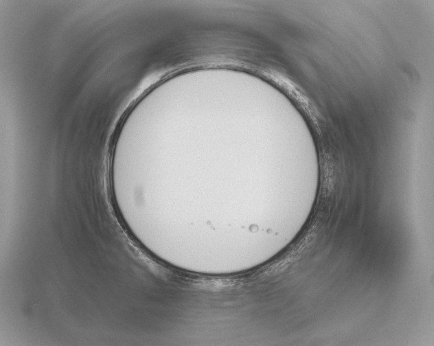 X0000115781286200912111119