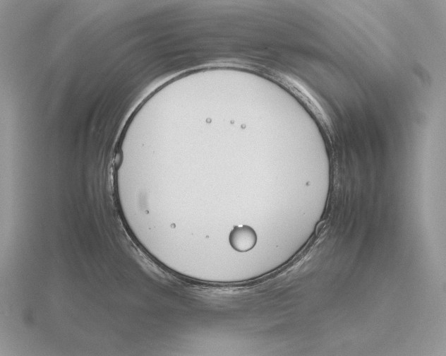 X0000115781292200912111119