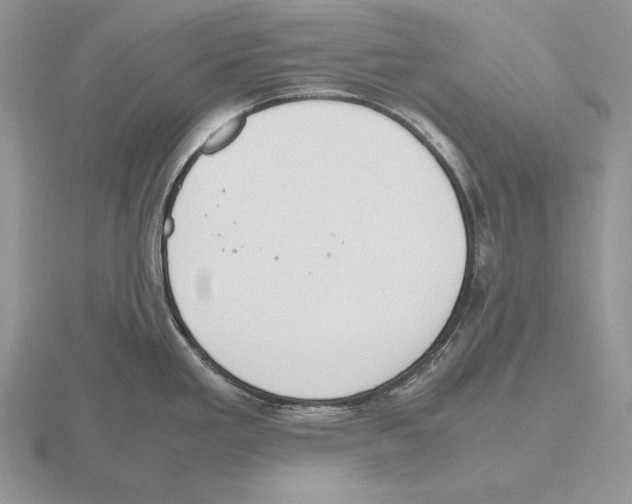 X0000115781293200912111119