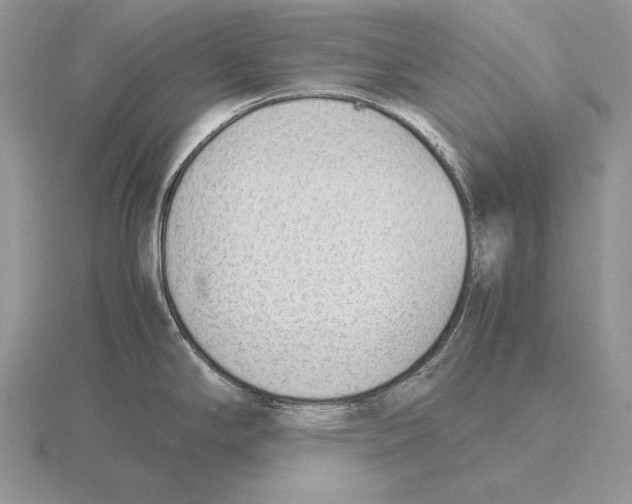 X0000115781294200912111119