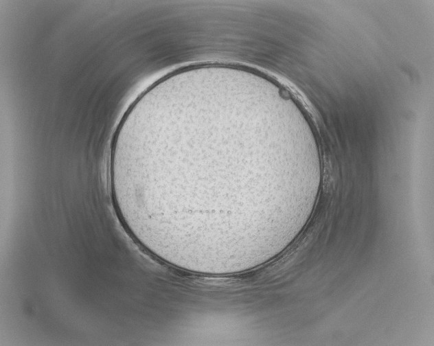 X0000115781295200912111119