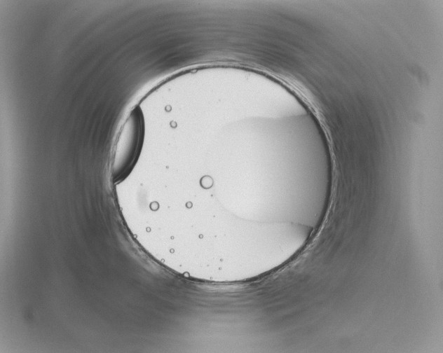 X0000115781296200912111119