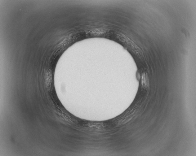 X0000115781299200912111118