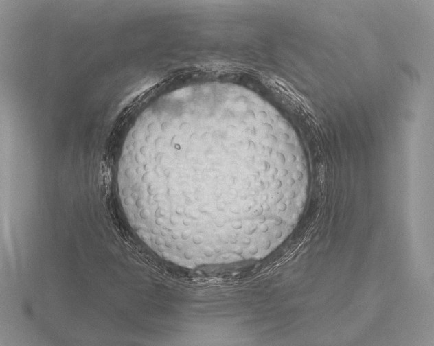 X0000115781302200912111118