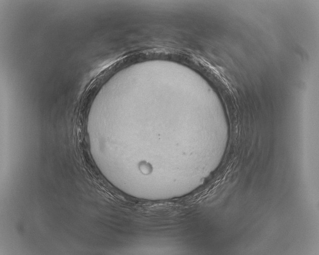 X0000115781303200912111118