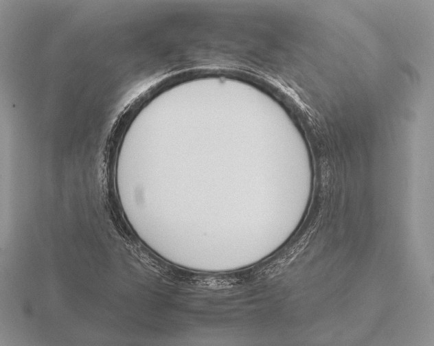 X0000115781311200912111118