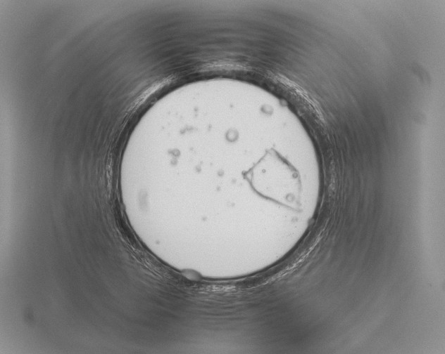 X0000115781313200912111118