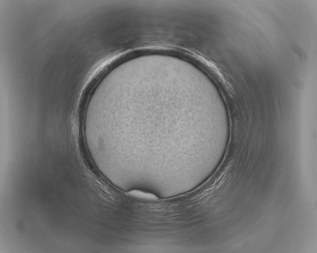 X0000115781319200912111119