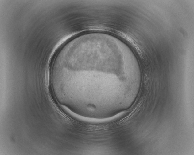 X0000115781323200912111119