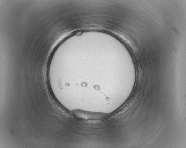 X0000115781325200912111119