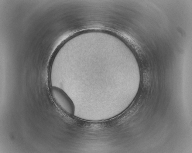 X0000115781326200912111119