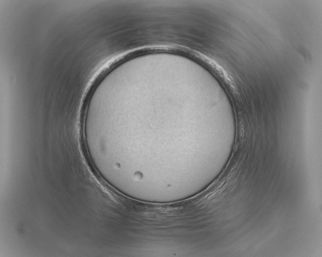 X0000115781327200912111119