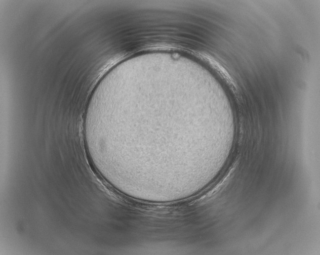 X0000115781329200912111119