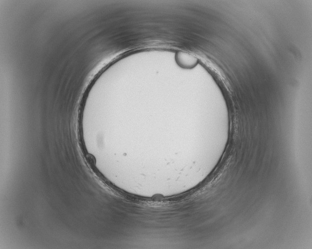 X0000115781333200912111119