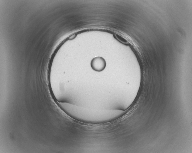 X0000115781334200912111119