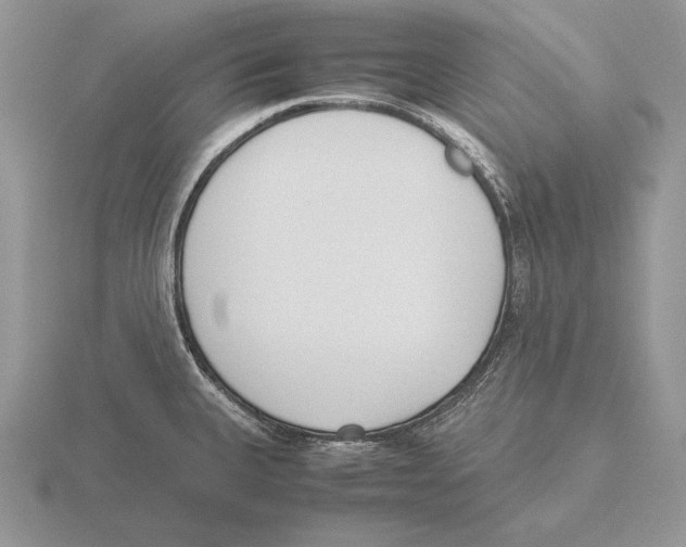 X0000115781335200912111119