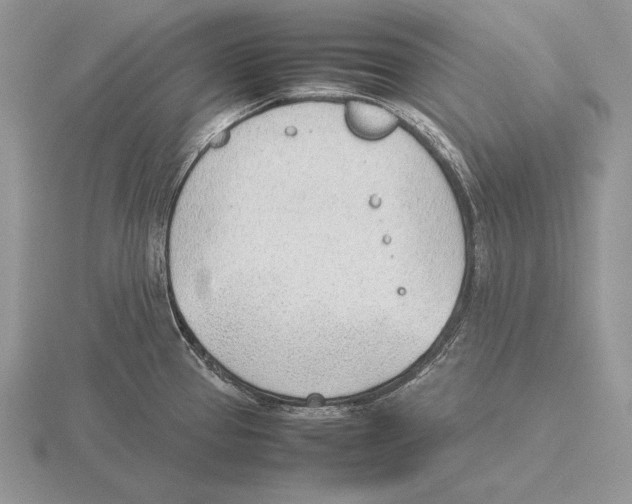 X0000115781337200912111119