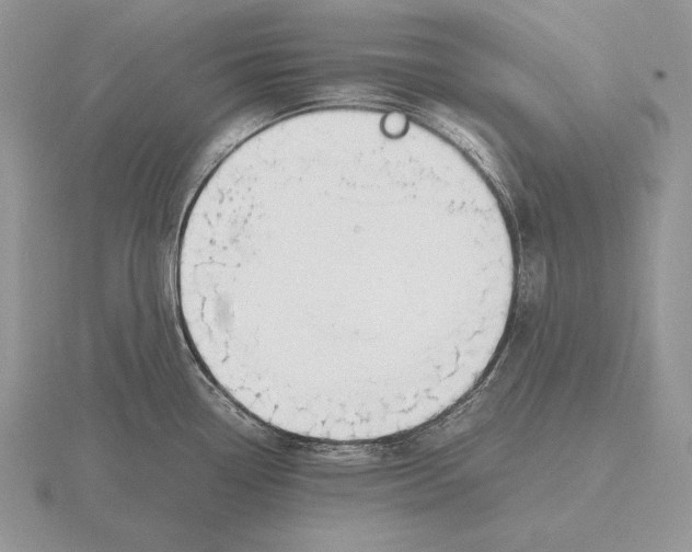 X0000115781338200912111119