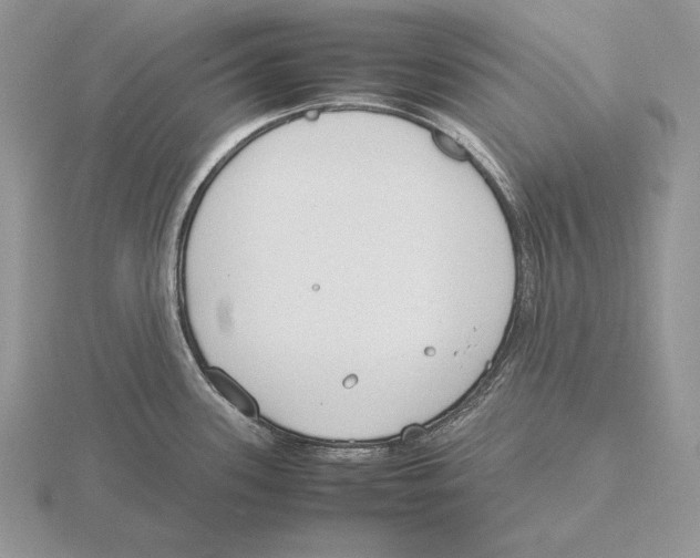 X0000115781339200912111119