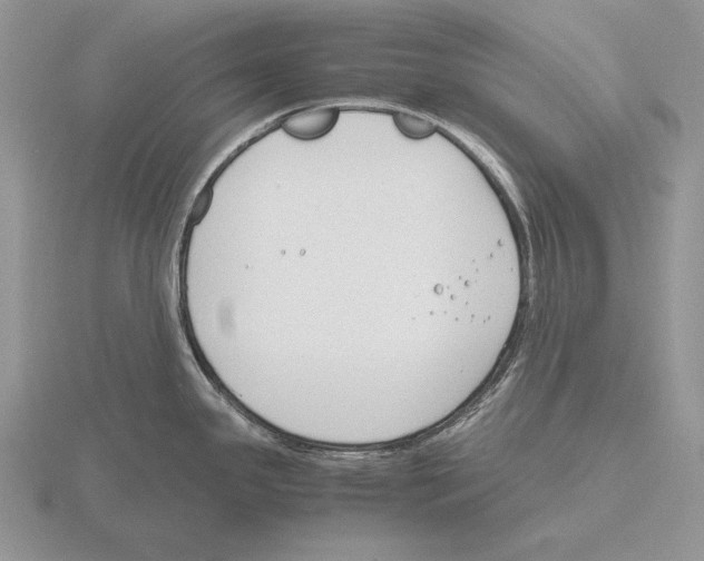 X0000115781341200912111119