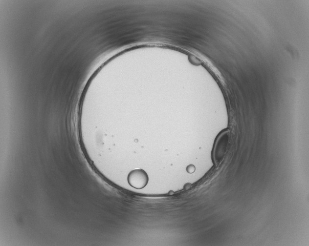 X0000115781343200912111119