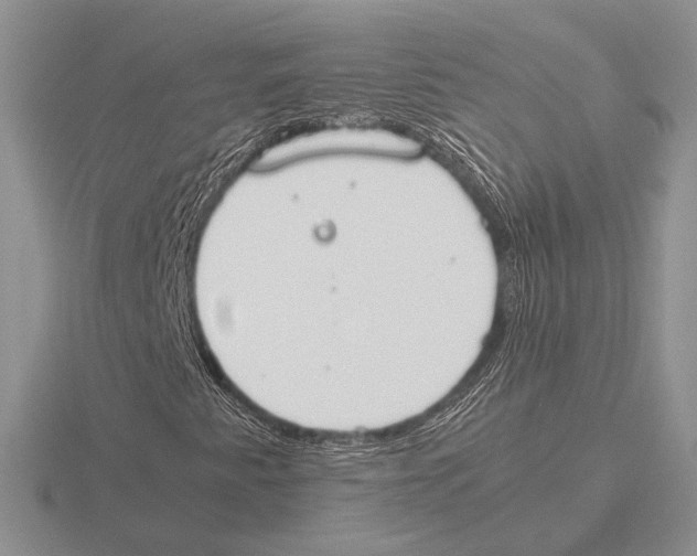 X0000115781345200912111118