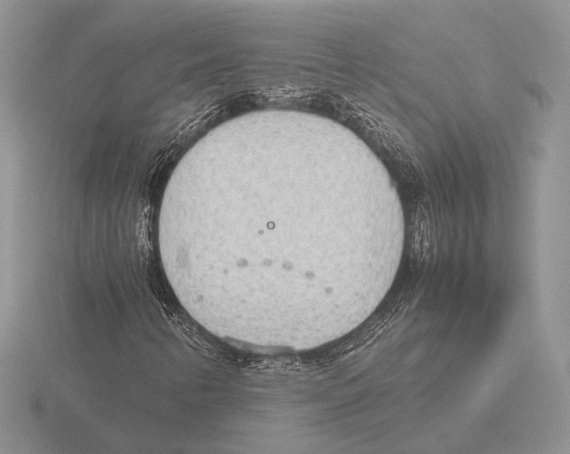 X0000115781346200912111118