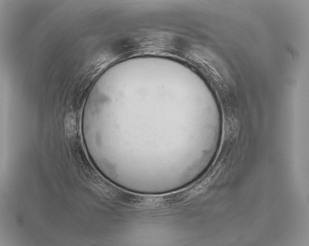 X0000115781353200912111118