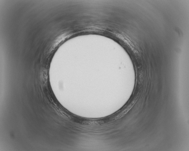 X0000115781355200912111118