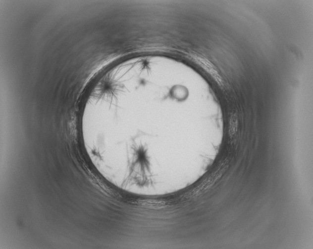 X0000115781356200912111118