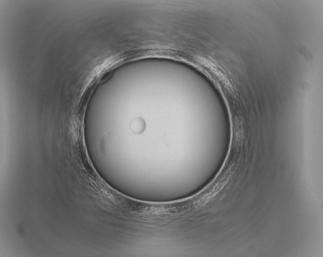 X0000115781357200912111118