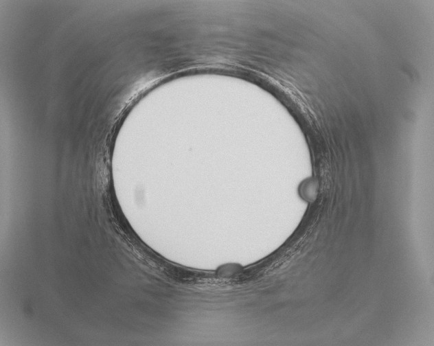 X0000115781363200912111118