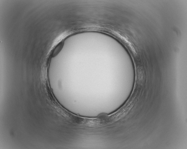 X0000115781365200912111118