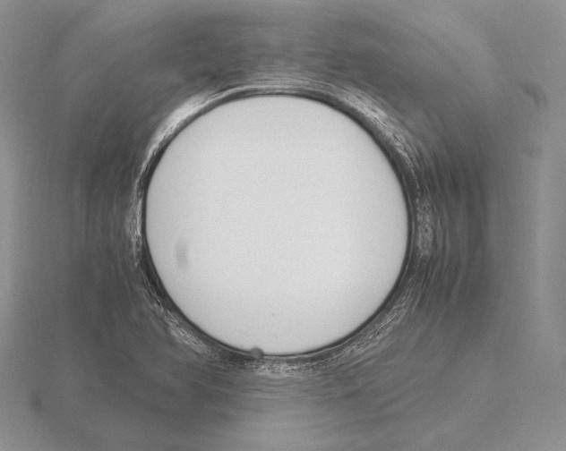 X0000115781366200912111118