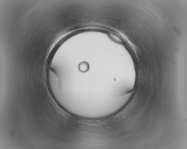 X0000115781368200912111118