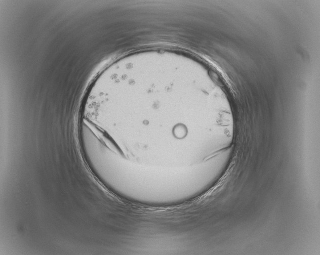 X0000115781373200912111118