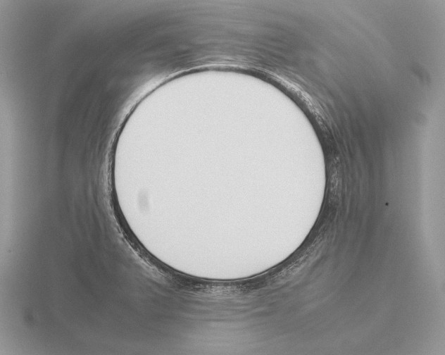 X0000115781375200912111118