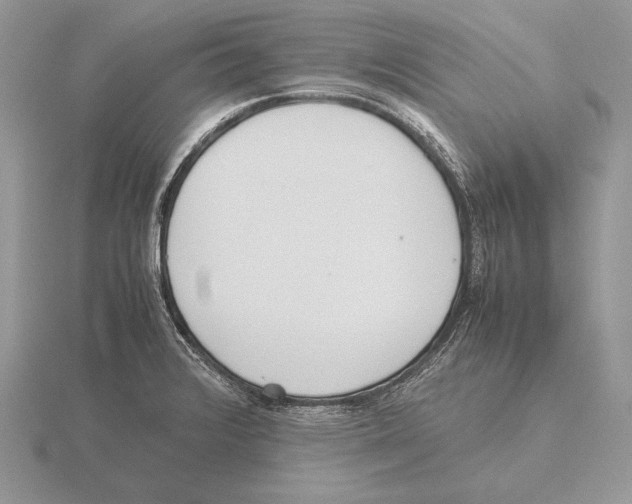 X0000115781376200912111118