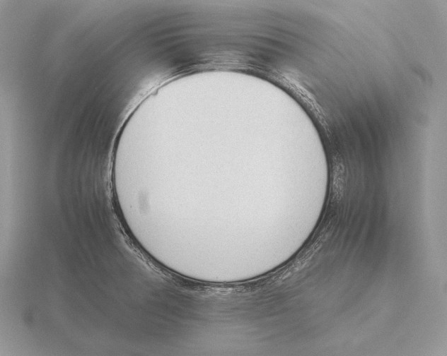 X0000115781378200912111118