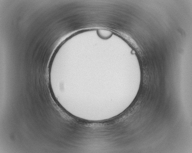 X0000115781380200912111118