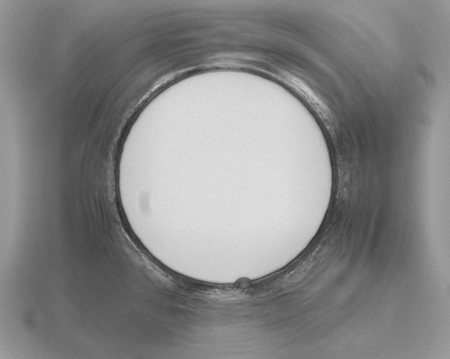 X0000115781384200912111118