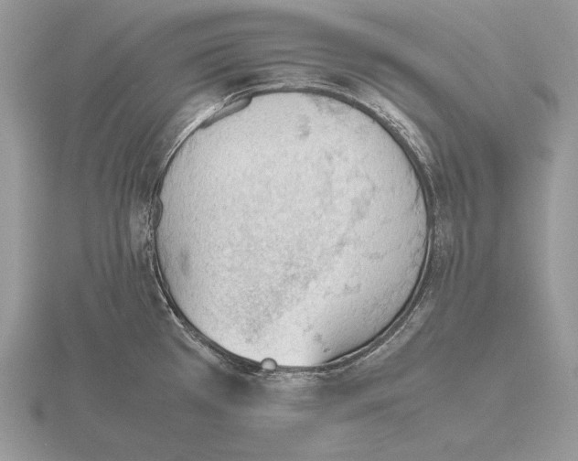 X0000115781385200912111118