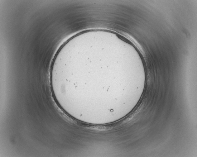 X0000115781388200912111118