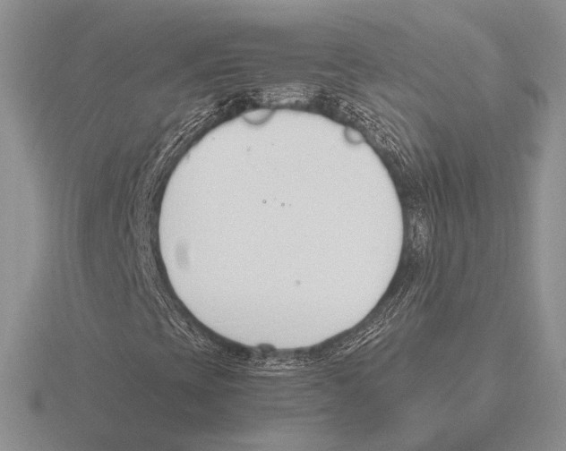 X0000115781393200912111117