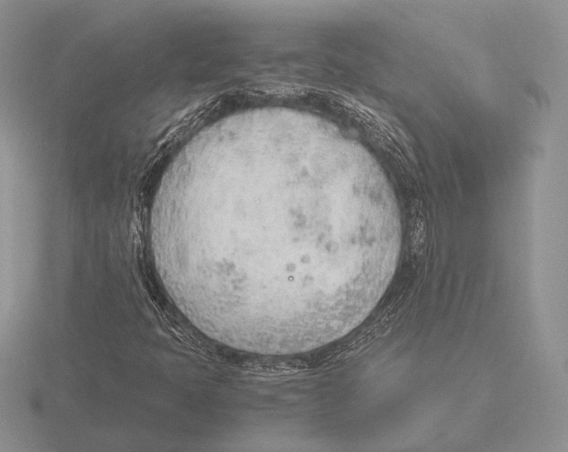 X0000115781397200912111117