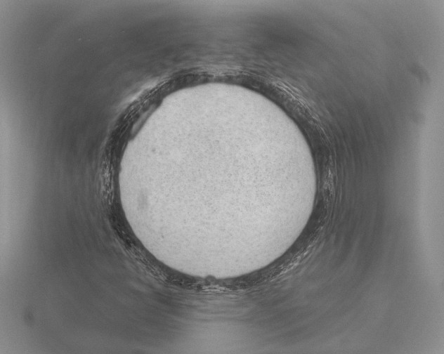 X0000115781398200912111117