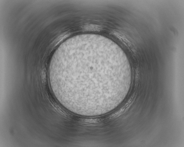 X0000115781401200912111117